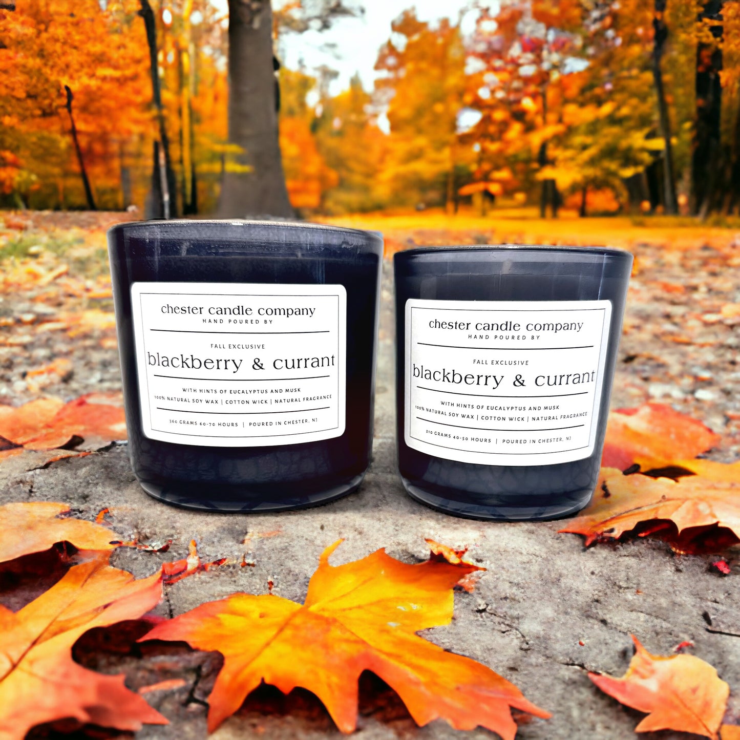 Blackberry & Currant Limited Edition Candle